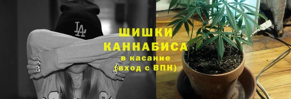 ПСИЛОЦИБИНОВЫЕ ГРИБЫ Алзамай