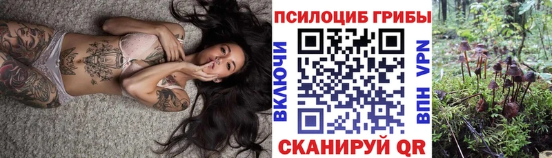 Псилоцибиновые грибы Psilocybe Нурлат